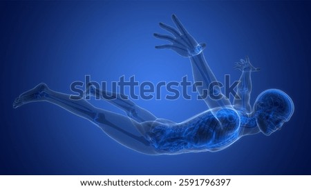 Human Skeleton System Bone Joints Anatomy. 3D