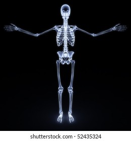 39,662 Xray skeleton Images, Stock Photos & Vectors | Shutterstock