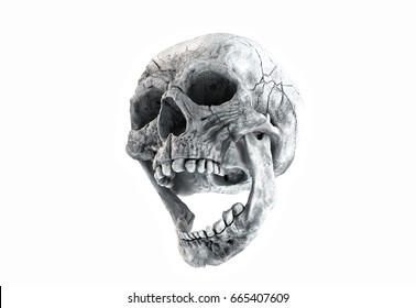 Human skull on Rich Colors a White Isolated Background. The concept of death, horror. A symbol of spooky Halloween. 3d rendering illustration.