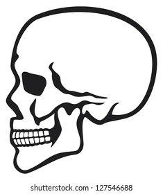 Human Skull Profile 