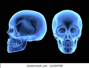 Human Skulls isolated on Black Background. X-ray Effect. 3D illustration
