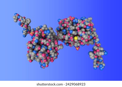 Human sonic hedgehog N-terminal domain. Space-filling molecular model based on protein data bank entry 3m1n. Scientific background. 3d illustration