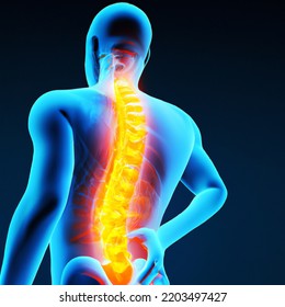 46,833 Human Spine Back Images, Stock Photos & Vectors | Shutterstock