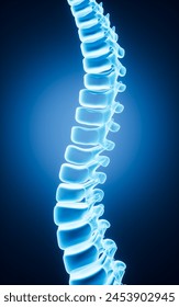 Human spine model, specification for human vertebrae model, 3d rendering. 3d illustration.