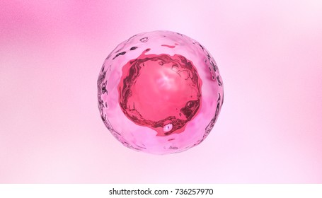 Human Stem Cell, 3d Rendering.