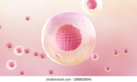 Human Stem Cell Concept, 3D Render