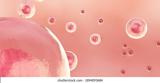 Human Stem Cell Concept, 3D Render