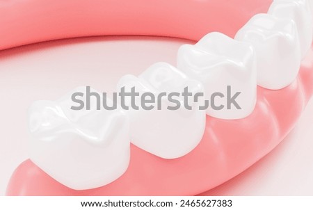 Human tooth model, white teeth, even teeth model, 3d rendering. 3d illustration.