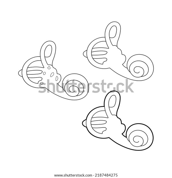 Human vestibular apparatus. The\
cochlea of the vestibular apparatus linear\
illustration.