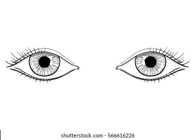 Two Eyes Images, Stock Photos & Vectors | Shutterstock