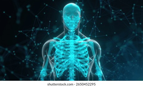 Human xray with connection dots. Computer generated 3d render. 3D Illustration