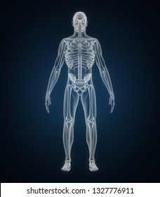 Human X-ray, Full Body Skeleton. 3D Rendering