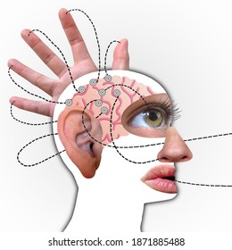 Human's Brain Profile, Connected To Five Senses - Funny Collage