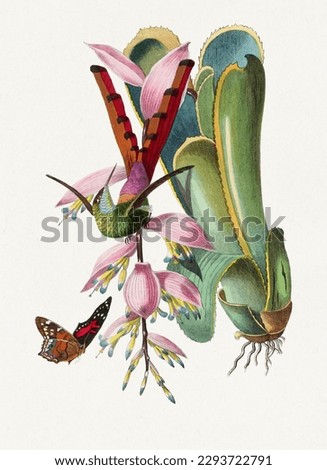 Hummingbird, orchid flowers and a butterfly