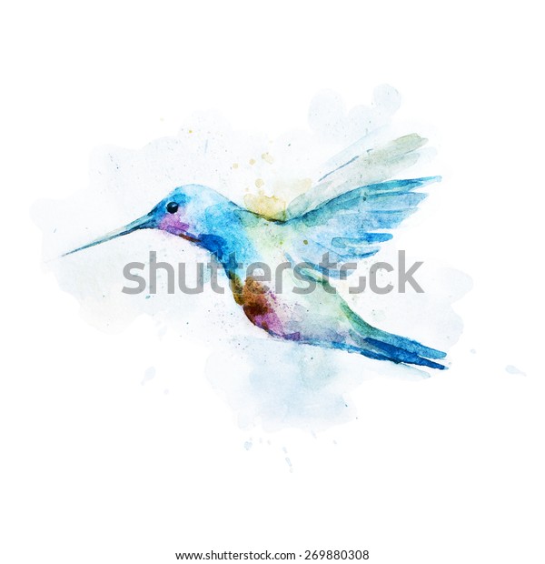 ハチドリ 水彩 鳥 絵 スプレー スポット のイラスト素材