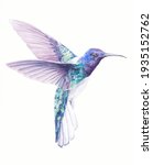 Hummingbird watercolor drawing. Bright multicolor small tropical bird. Hummingbird with bright plumage. Flying bird. Hummingbird Watercolor Painting