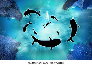 Humpback Whale Migration, A Diver With A Pod Of Humpback Whales. Illustration