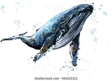 Humpback whale watercolor illustration. Underwater fauna