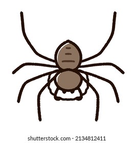 Huntsman Spider Character With An Egg Sac. Huntsman Spider Is A Beneficial Insect And A Large Spider.