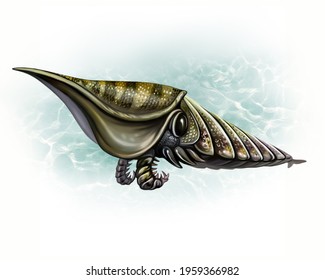 Hurdia Victoria, Reconstruction Of A Middle Cambrian Arthropod From The Class Dinocarida, Extinct Animals Of The Paleozoic Era, Realistic Drawing, Isolated Image On A White Background