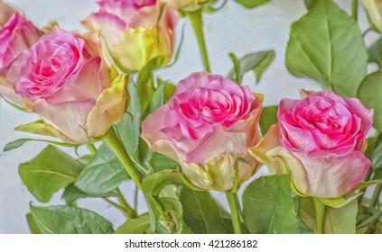 15,802 Hybrid tea rose Images, Stock Photos & Vectors | Shutterstock