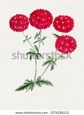 Similar – Image, Stock Photo A red hydrangea flower and its reflection