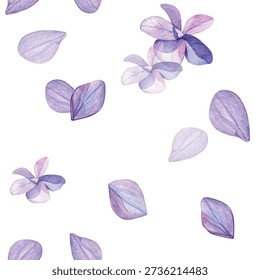 Hydrangea flowers pattern. Watercolor of purple flowers and petals isolated on a white background. Good for postcards, invitations, greeting cards, wallpaper and textiles.