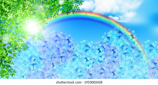 Hydrangea Rainy Season Flower Background 