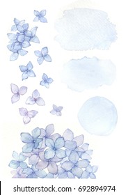 Hydrangea Watercolor Set