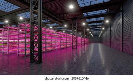 Hydroponic Indoor Vegetable Plant Factory In Exhibition Space Warehouse. Interior Of The Farm Hydroponics. Green Salad Farm. Lettuce Roman Growing In Greenhouse With Led Lightning. 3D Render