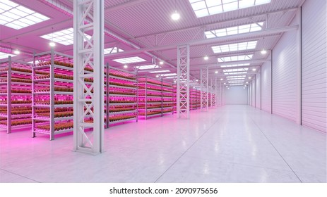 Hydroponic Indoor Vegetable Plant Factory In Exhibition Space Warehouse. Interior Of The Farm Hydroponics. Green Salad Farm. Lettuce Roman Growing In Greenhouse With Led Lightning. 3D Render