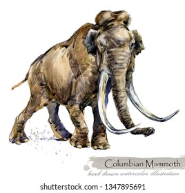 Ice Age Wildlife. Prehistoric Period Fauna. Columbian Mammoth. Watercolor Animal. 