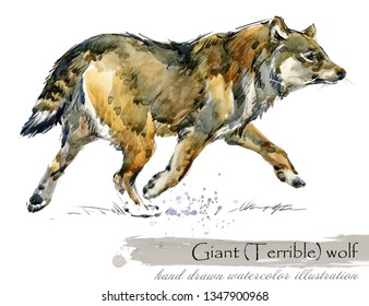 Ice Age Wildlife. Prehistoric Period Fauna. Giant Terrible Wolf. Watercolor Animal. 