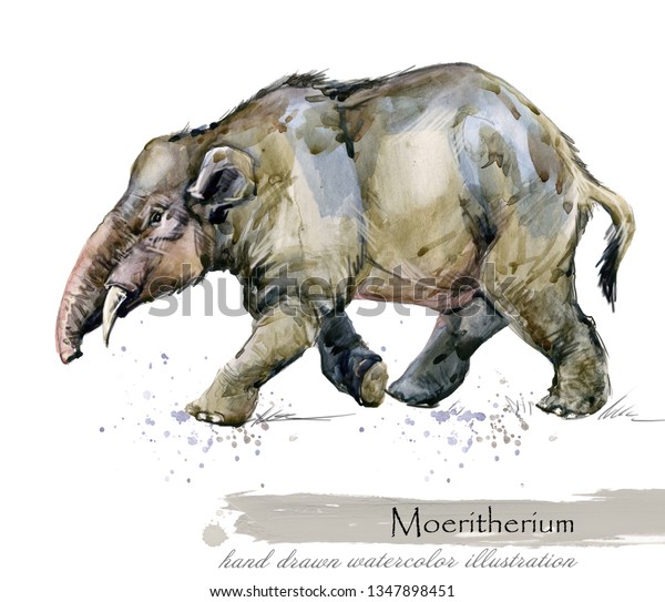 moeritherium