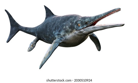 Ichthyosaur, großes ausgestorbenes marines Reptil von Early Triassic bis Late Cretacous einzeln auf weißem Hintergrund, 3D-Wissenschaftsrente 