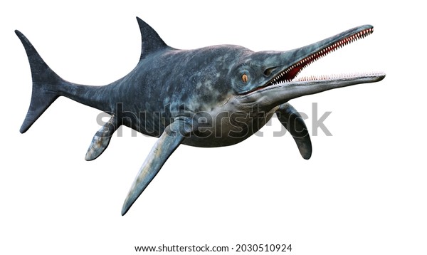 Ichthyosaur Large Extinct Marine Reptile Early Stock Illustration ...