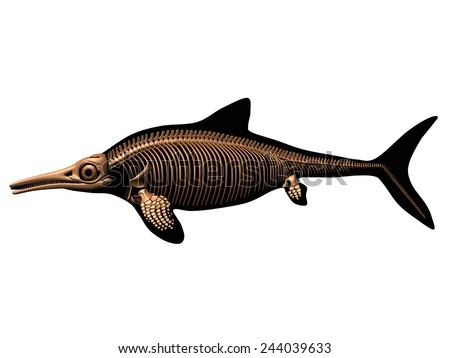 Ichthyosaurus Skeleton Stock Illustration 244039633 - Shutterstock