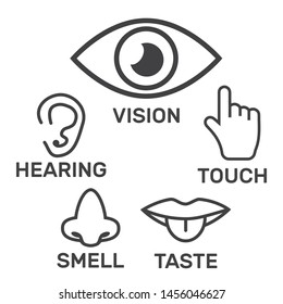 Five Senses Icons 5 Senses Symbols Stock Vector (Royalty Free) 1891274176