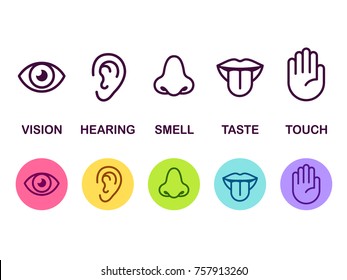 Icon Set Of Five Human Senses: Vision (eye), Smell (nose), Hearing (ear), Touch (hand), Taste (mouth With Tongue). Simple Line Icons And Color Circles Illustration.