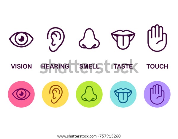 5つの人間の感覚のアイコンセット 視覚 目 嗅覚 鼻 聴覚 耳 触覚 手 味覚 口と舌 単純な線のアイコンとカラー円の図 のイラスト素材