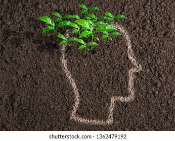 Ideas And Initiative Concept. Green Leaves From Human Brain.