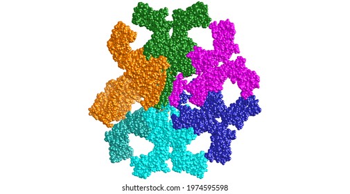 IgM 3D Illustration. Immunoglobulin Type M. Antibody