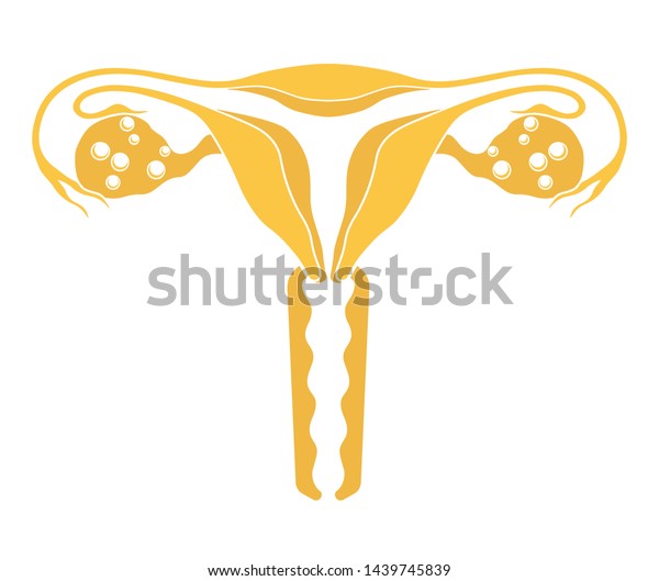 女性の内臓 子宮 卵巣 卵管 イラスト フラットデザイン 白い背景に分離型 のイラスト素材