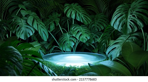 Illuminated display countertop or stage podium with green plants. Beauty and nature Advertising concept use background. 3d rendering
