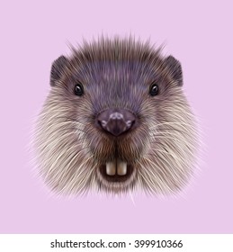 Illustrated Portrait Of Beaver. Cute Face Of Aquatic Fluffy Rodent On Pink Background.