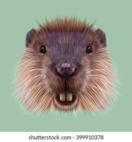 Illustrated Portrait Of Beaver. Cute Face Of Aquatic Fluffy Rodent On Green Background.