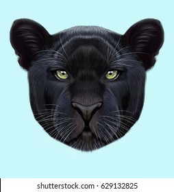 Jaguar Black Panther Animal Face