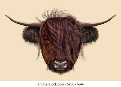 Illustrated portrait Highland cattle  Cute head Scottish cattle beige background 