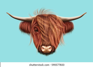 Illustrated portrait Highland cattle  Cute head Scottish cattle blue background 