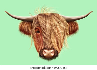 Illustrated portrait Highland cattle  Cute head Scottish cattle green background 
